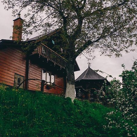 Будиночок В Карпатах Yaremche Luaran gambar